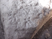 Bird Petroglyphs